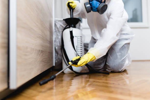 Best Bed Bug Extermination  in Montesano, WA