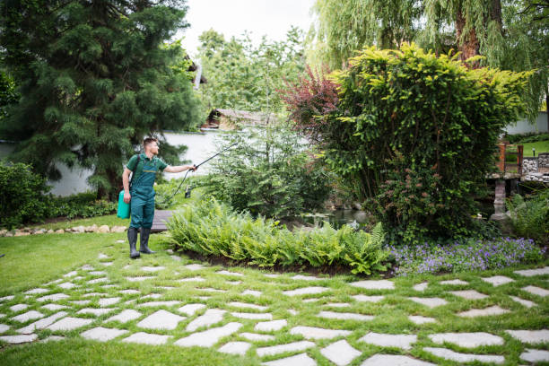 Best Pest Inspection Near Me  in Montesano, WA