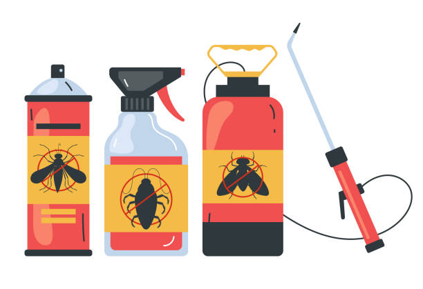 Best Bed Bug Extermination  in Montesano, WA