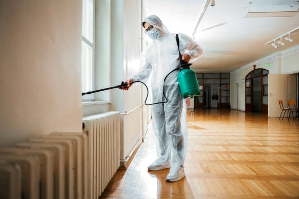 Professional Pest Control in Montesano, WA